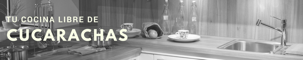 Cocina libre de Cucarachas